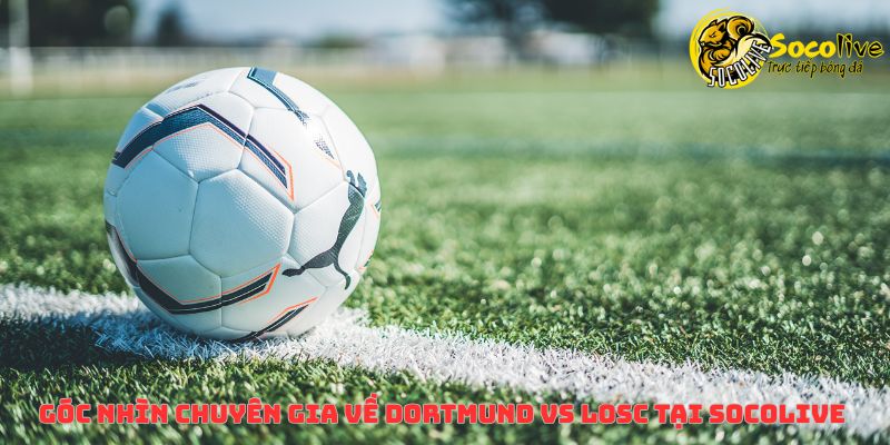Góc nhìn chuyên gia về Dortmund vs LOSC tại Socolive